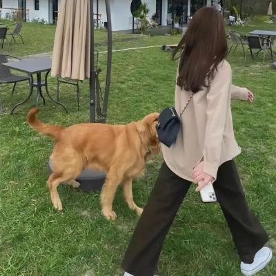 我的战争